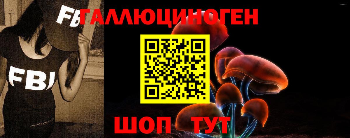 Кстово  Псилоцибиновые грибы Psilocybine cubensis  Вход с VPN 